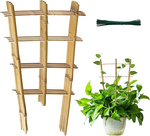 YEXEXINM Paquete de 6 enrejados de bambú para plantas en maceta de interior enrejado de soporte de plantas en forma de abanico de 16 pulgadas con