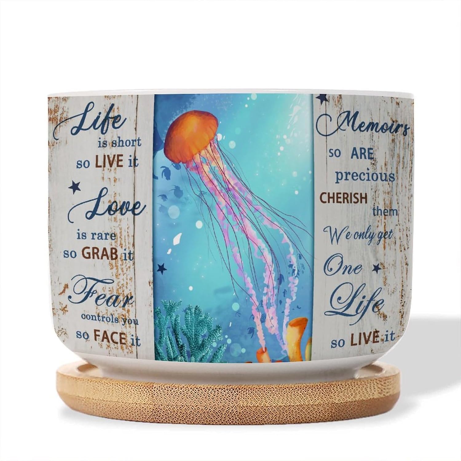 Ocean Animal Beach Watercolor Jellyfish Cactus Pot for Indoor Set of 3 Small Flowers Pots with Drainage Bamboo Trays Ocean Theme Seaside Ceramic Plant Pot Housewarming Gift