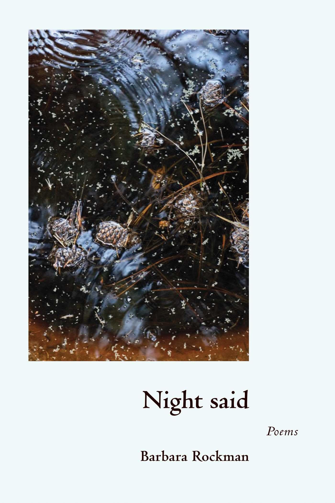Night Said: Poems (Mary Burritt Christiansen Poetry Series)