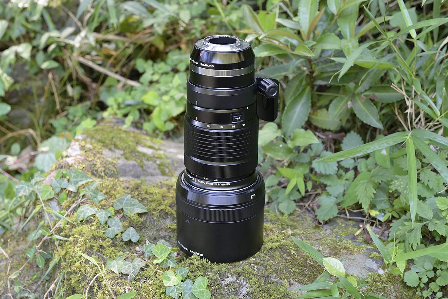 Amazon.co.jp: OLYMPUS マイクロフォーサーズレンズ ED 40-150mm