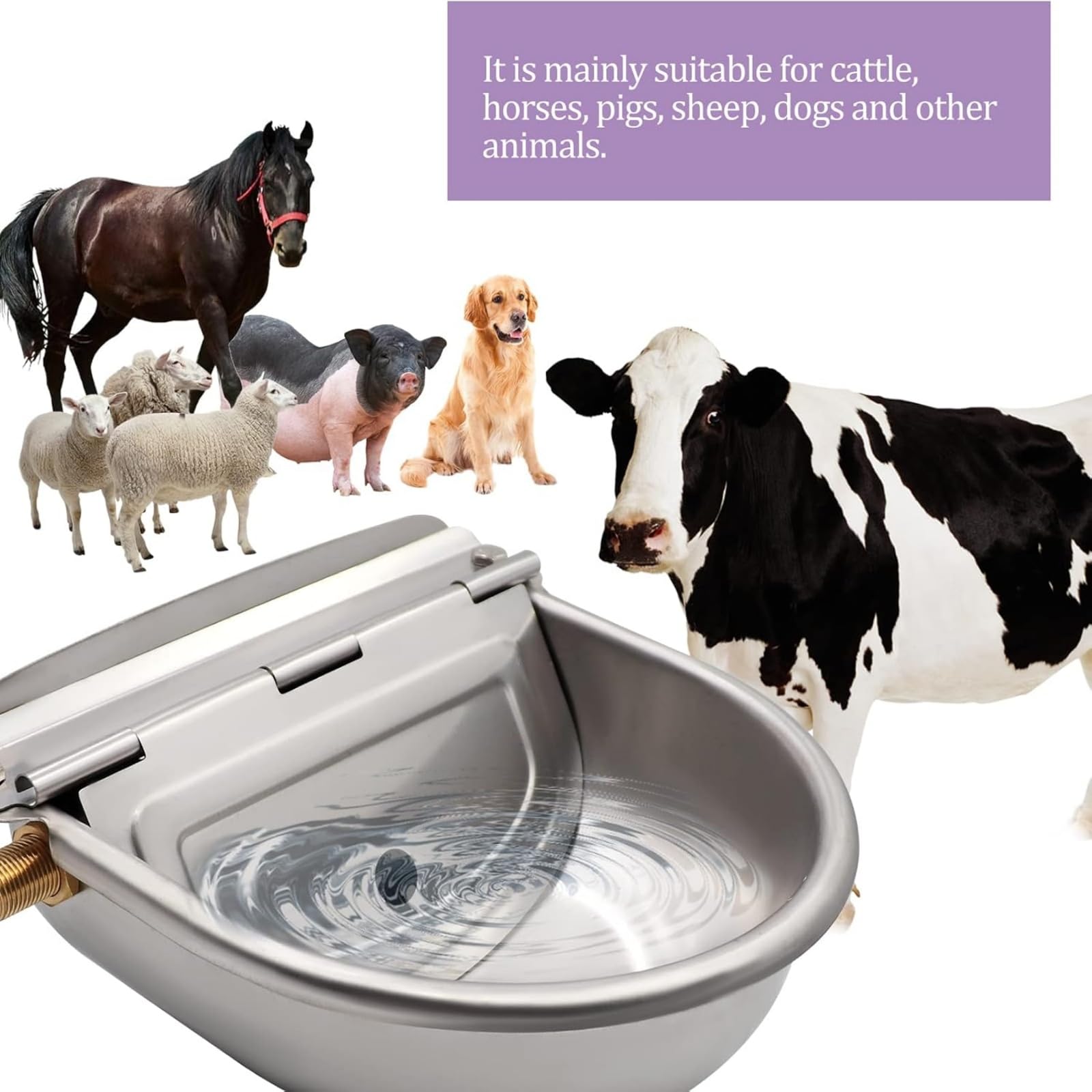 Bebedero para Caballos Automático Bebedero Perro Acero Inoxidable con VáLvula de Flotador de Latón Ajustable de 1/2" y Orificios de Drenaje para Ganado Caballo Vaca Cabra Oveja
