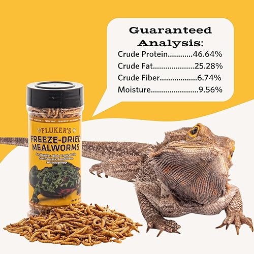 Miniatura 5 de Flukers Freeze Dried Insects - for Reptiles Birds Tropical Fish Semi-Aquatic Amphibians and Hedgehogs