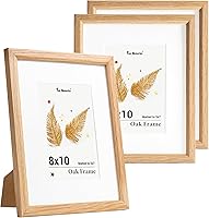 Vista 403 de Fun Memories Portarretratos de metal de 16 x 20 pulgadas con paspartú de 11 x 14 pulgadas, acabado de aluminio cepillado, parte delantera de vidrio