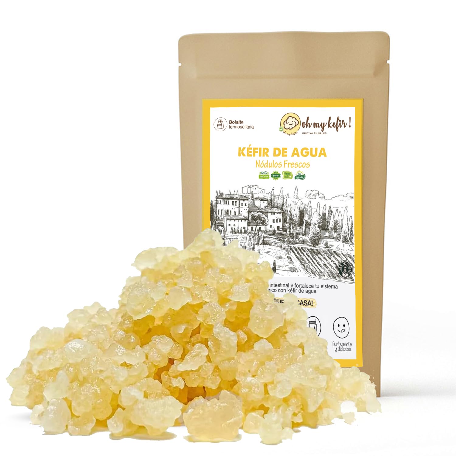 100g Hongo/Nódulos Frescos de Kéfir de Agua + Instrucciones + Recetas + Ayuda y Asesoramiento en español - OH MY KÉFIR®