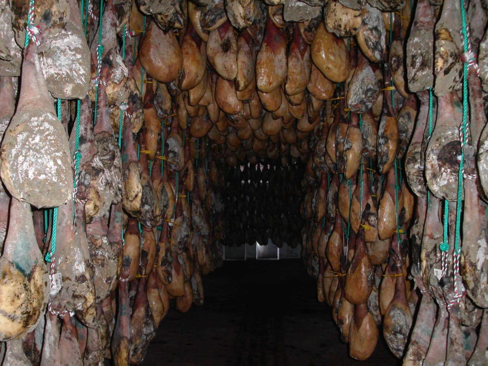 Paleta de Jabugo 100% Bellota - Envio 24 | 4-4,5 kg | Sanchez Martín - Selección Cosecha Privada - Envío 24 h - Paleta Vitola Negra 100% Bellota - Incluye Funda Regalo CubreJamón - (4-4,5 kg)