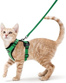 rabbitgoo Cat Harness and Leash Set, Escape Proof Vest, Grass Green | Soft Breathable Mesh, Easy Adjustable Fit, Snap Buckles, Sturdy Clip, Reflective Strips, for Average Cats Walks, S