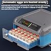 Egg Incubator EggIncubators for Hatching Eggs, Smart Incubator for Eggs Automatic Turning, Humidity Control, Temperature Control, Incubators for Hatching Chicken