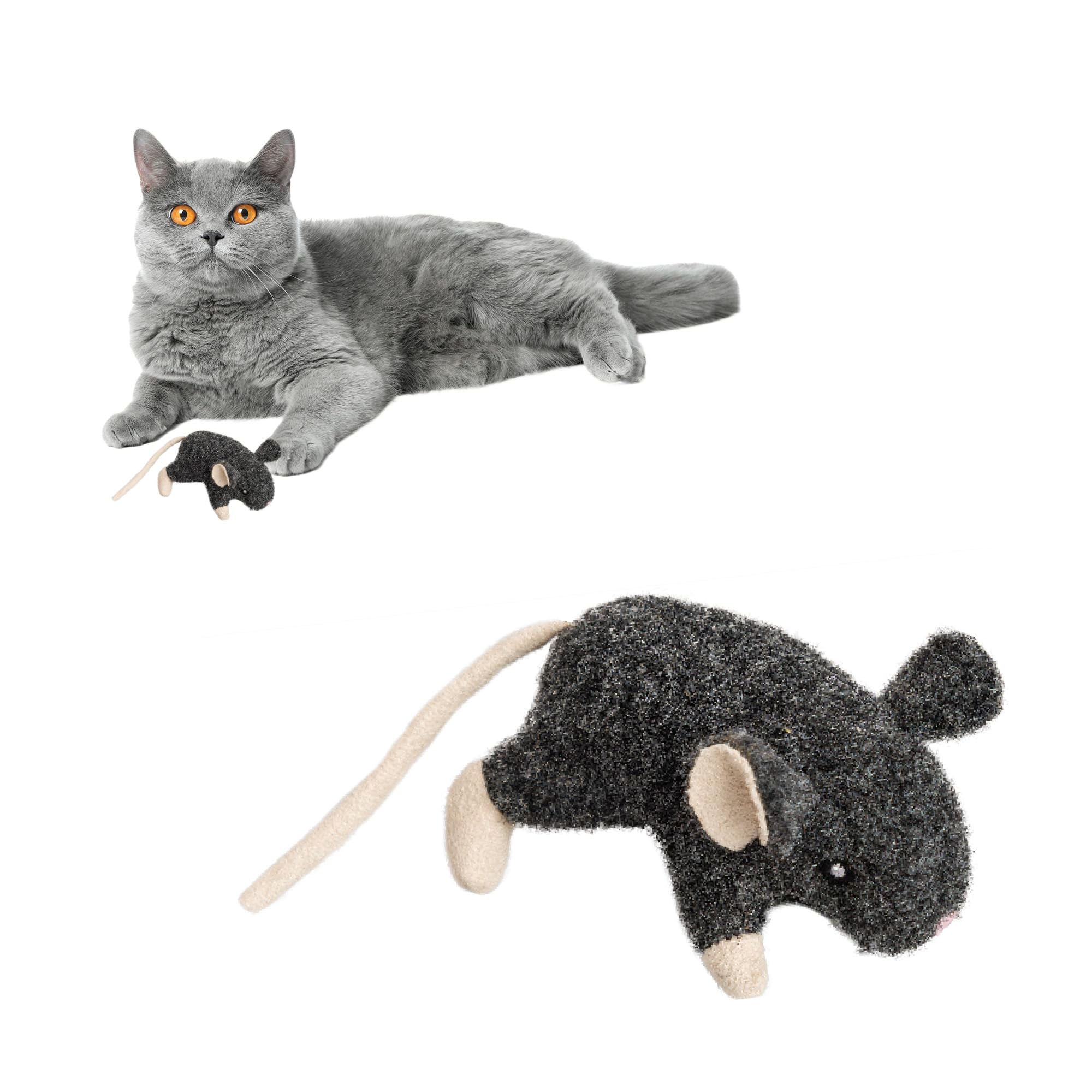 fluffyteddy & L'ours câlin【はちみつset】 fluffyteddy & L'ours câlin【はちみつset】 Amazon.com