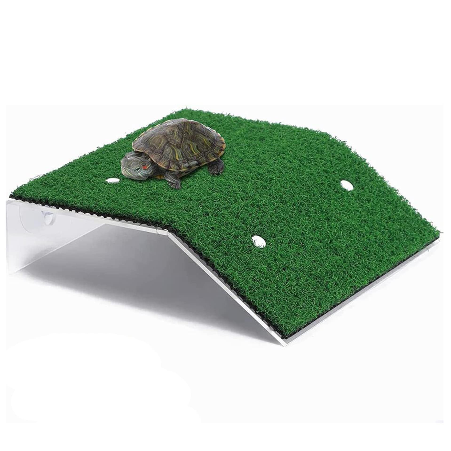 EdirFtra Turtle sunbathing platform, reptile rest platform floating turtle rest platform, with sucker turtle ladder, suitable for reptile frog water turtle.