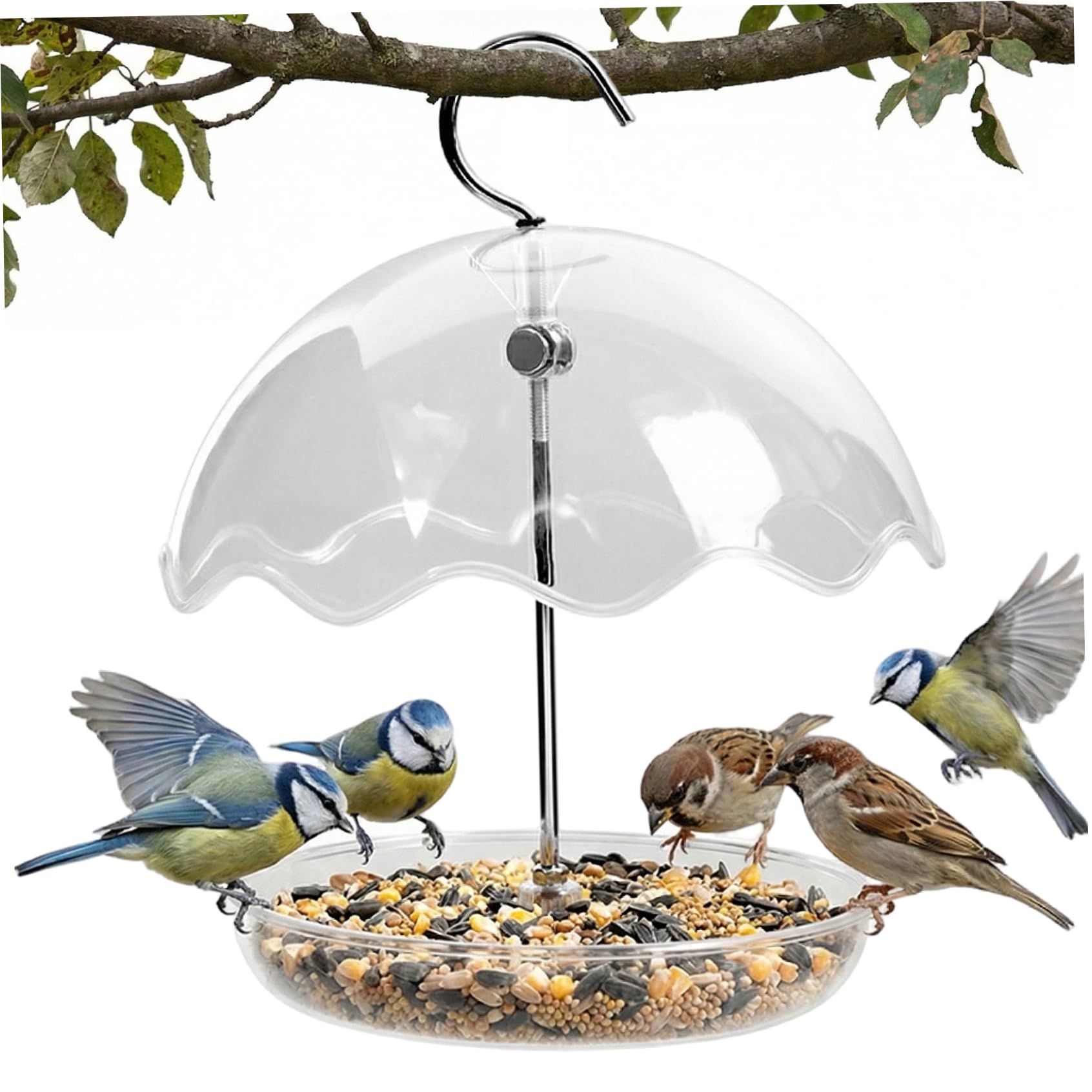 Comederos para pájaros transparentes que protegen las semillas de la lluvia