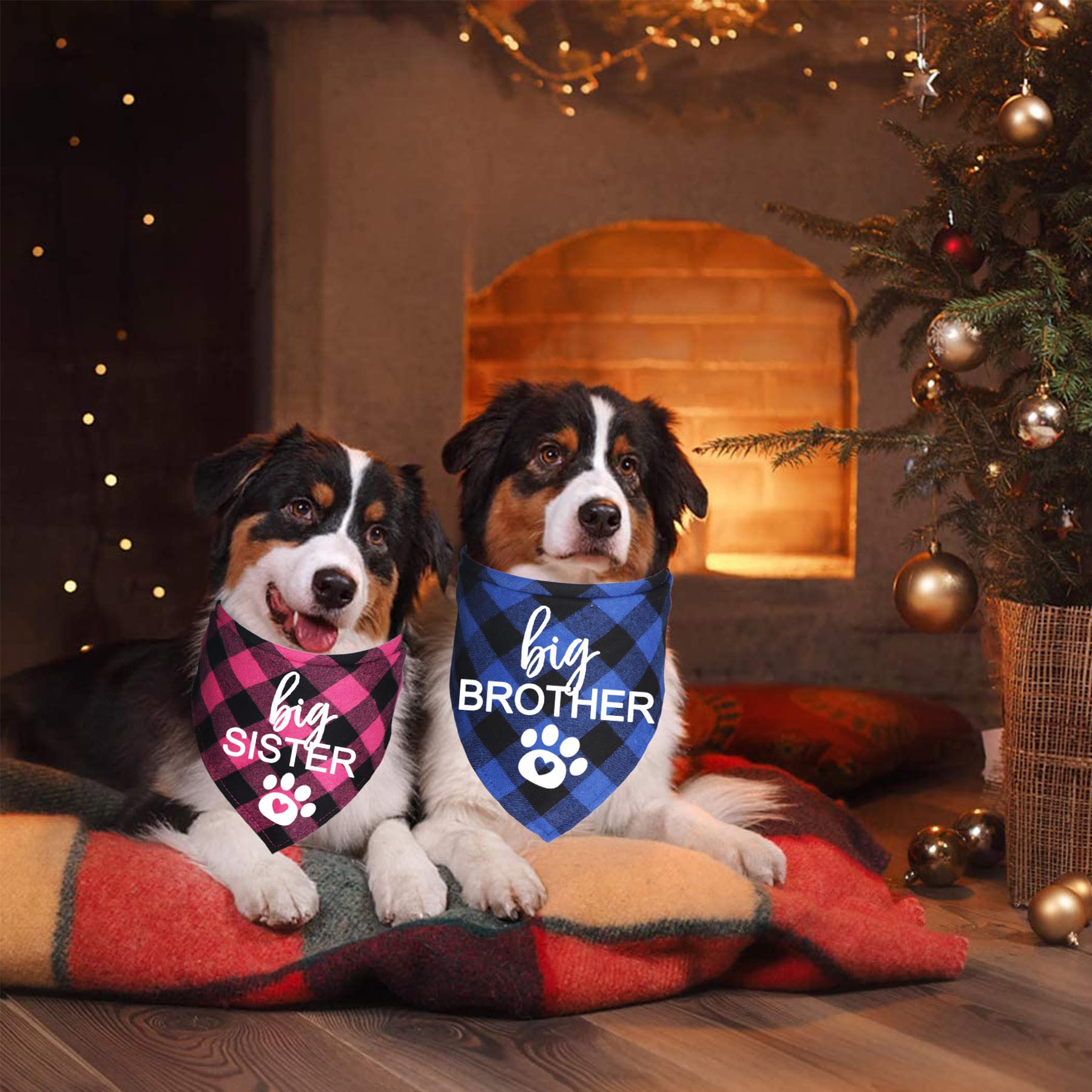 Big Brother Big Sister Dog Bandana, Zwangerschap Aankondiging Foto's Nieuwe Puppy Gotcha Day Geslacht Onthullen (stijl 3