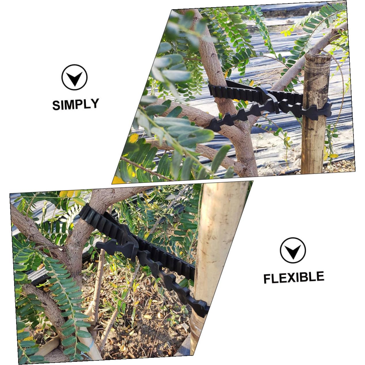 Alasum Flexible Gummi Astbinder für Bäume und Bonsai | Schwarz, zum Fixieren von Ästen und Wuchs, 10 Stück Pack, Gummi, für Außenbereich