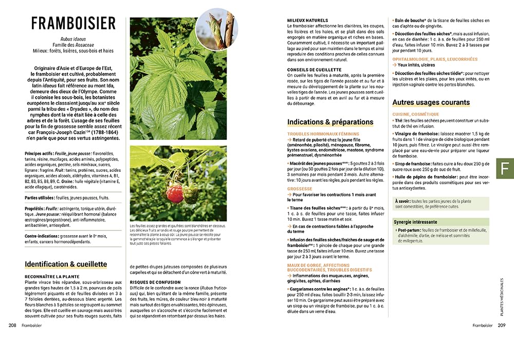 L'encyclopédie de l'herboristerie - 160 plantes médicinales, 700 remèdes à faire soi-même, 25 préparations de base · Identifier, cueillir, préparer, ... et soulager tous les maux du quotidien
