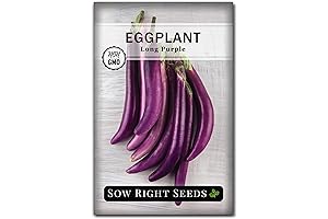 Long Purple Eggplant Seeds from Sow Right Seeds: Grow Asian Delicacies!