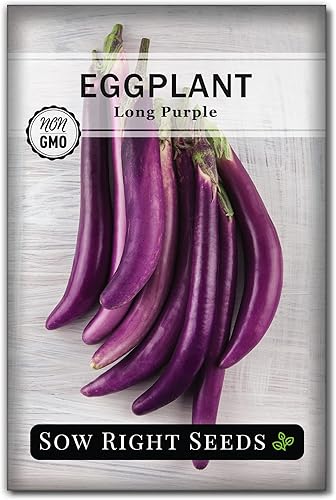Sow Right Seeds - Semillas largas de berenjena morada para plantar - Paquete de reliquia sin OMG con instrucciones para plantar un huerto doméstico
