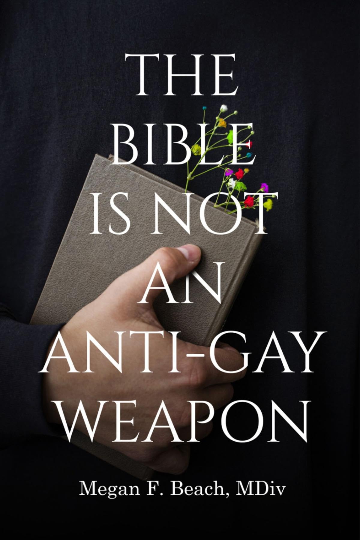 The Bible is Not an Anti-Gay Weapon