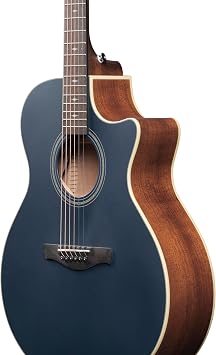 Ibanez AE100-DBF Solid Sitka Spruce Top