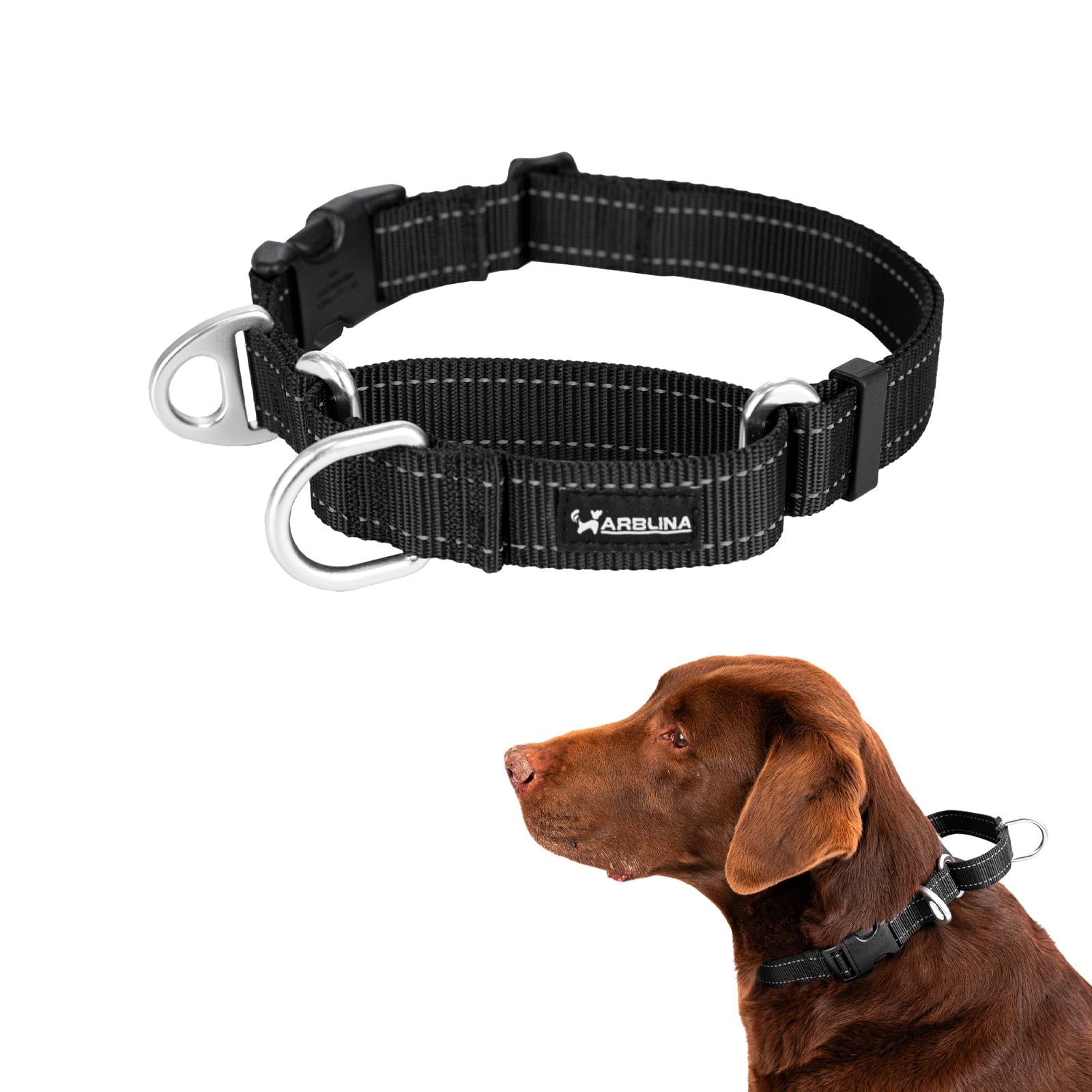 Arblina Martingale Dog Collar, Reflective No-Pull Collar for Large Medium and Small Dogs, No-Escape Slip Dog Collar for Whippets, Greyhounds, Saluki, Black, S