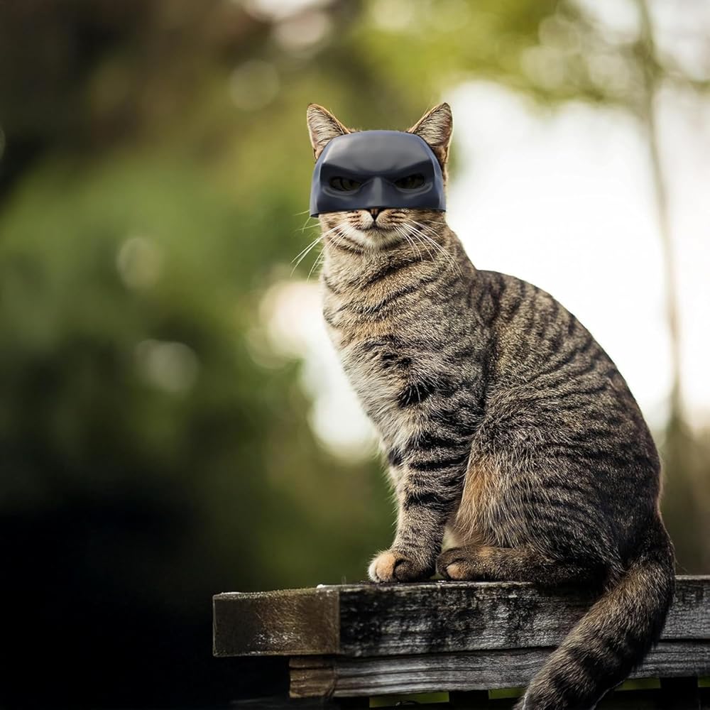 Cat Bat Mask,Halloween Cosplay, Funny Cat Costumes Accessories(Large, Black) view 6