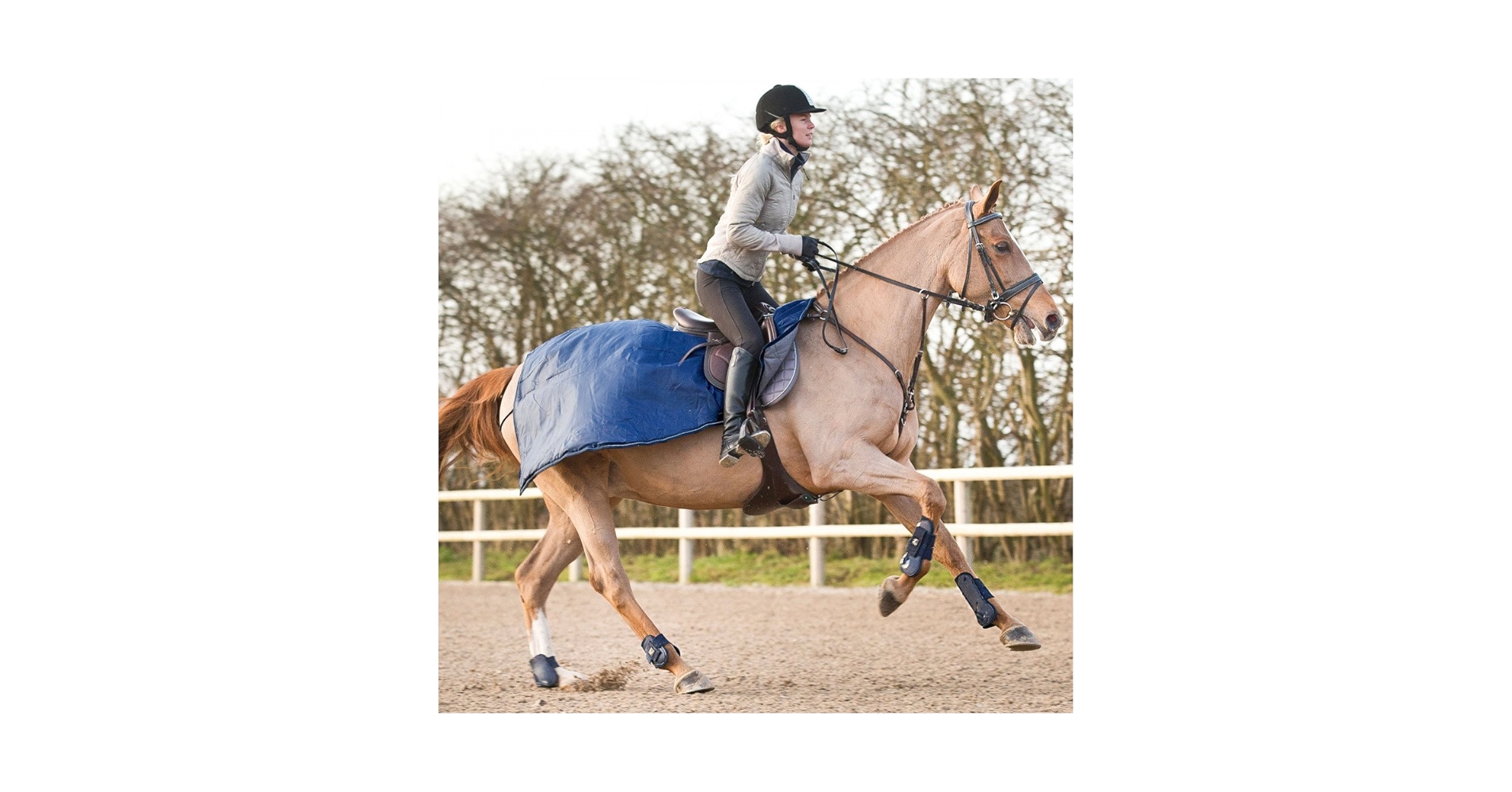 Amazon.co.jp: HORZE 乗馬 馬用 エクササイズラグ ライディング