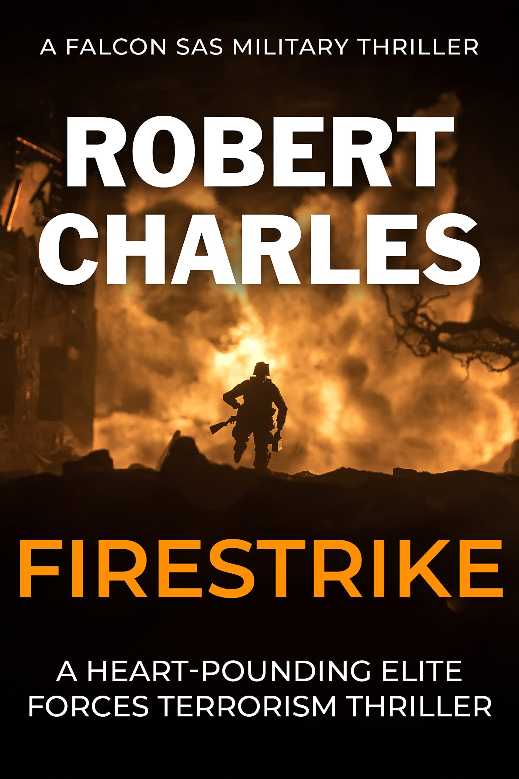 Firestrike: A heart-pounding elite forces terrorism thriller (Falcon SAS Military Thrillers Book 2)