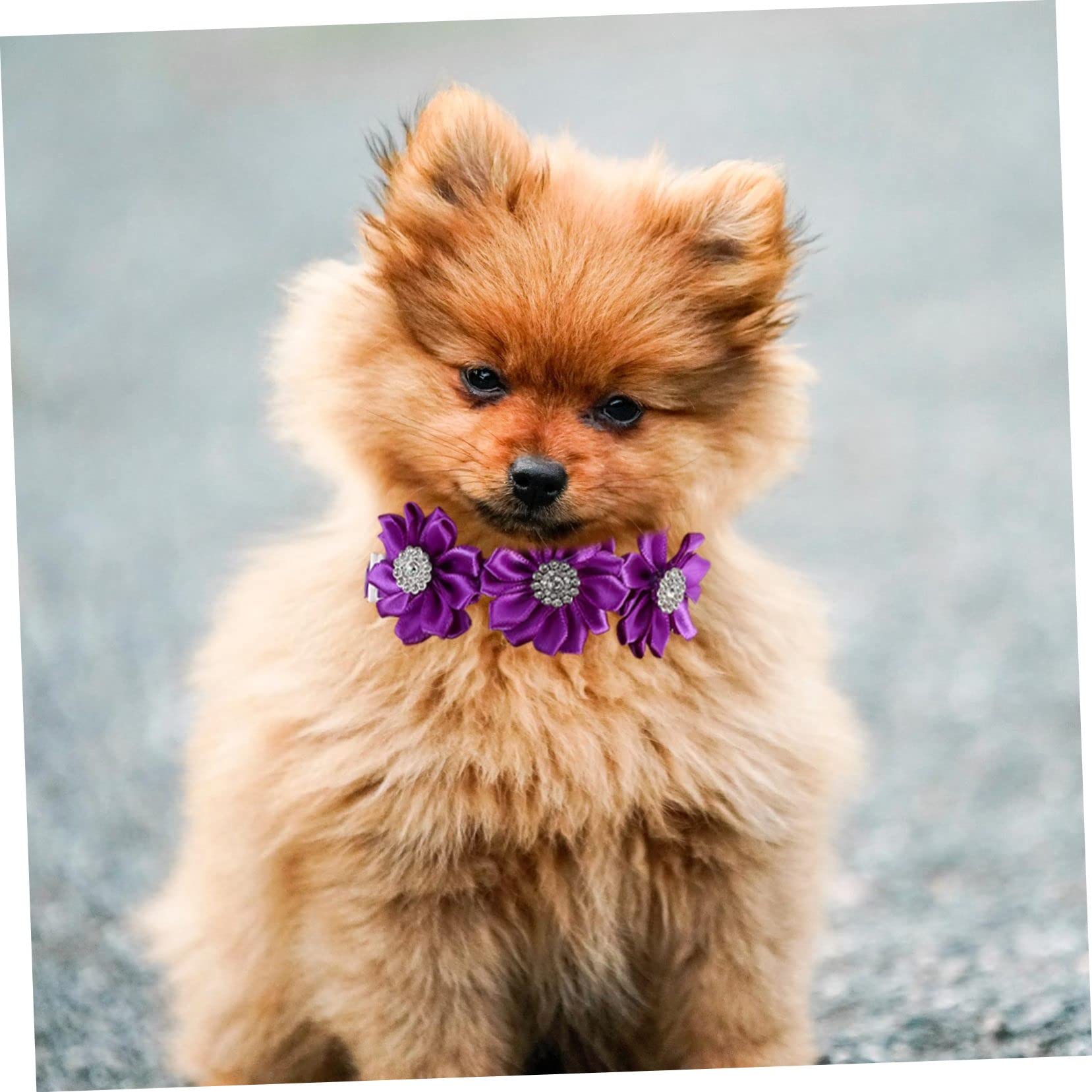Supvox 36stücke Hundekrawatte Und Blumenhalsband Mit Strass Verstellbare Haustierkostüm-Accessoires Für Katzen Und Hunde Charmante Dekoration Für Besondere Anlässe