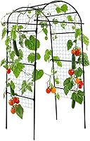Lalahoni 80 Inch Black Metal Garden Arch Trellis for Climbing Plants - Rust-Proof Support for Tomatoes, Cucumbers, Grapes & Vines in Raised Beds