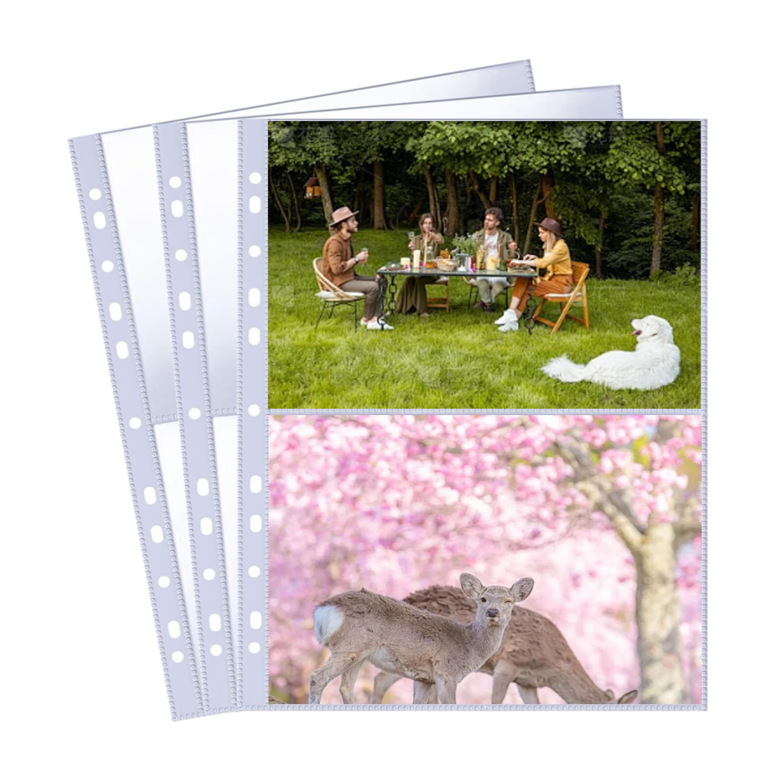 Xiciki 30 Pack 60 Pockets Photocard Sleeves, A4 Sleeves Clear Photocard Binder