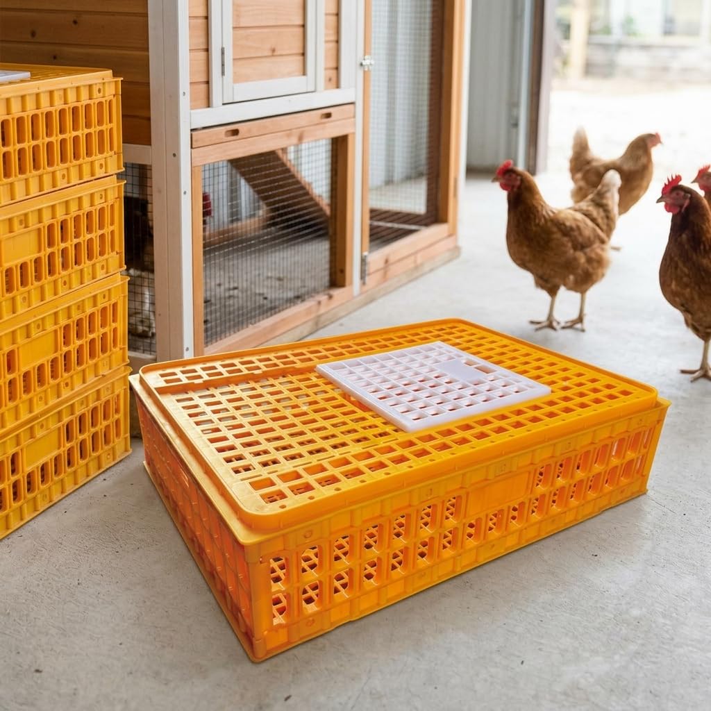 Jaula Transporte para Aves y Conejos, Transportín Plástico Robusto para un Viaje Sereno Pollos, s, s, Amarillo