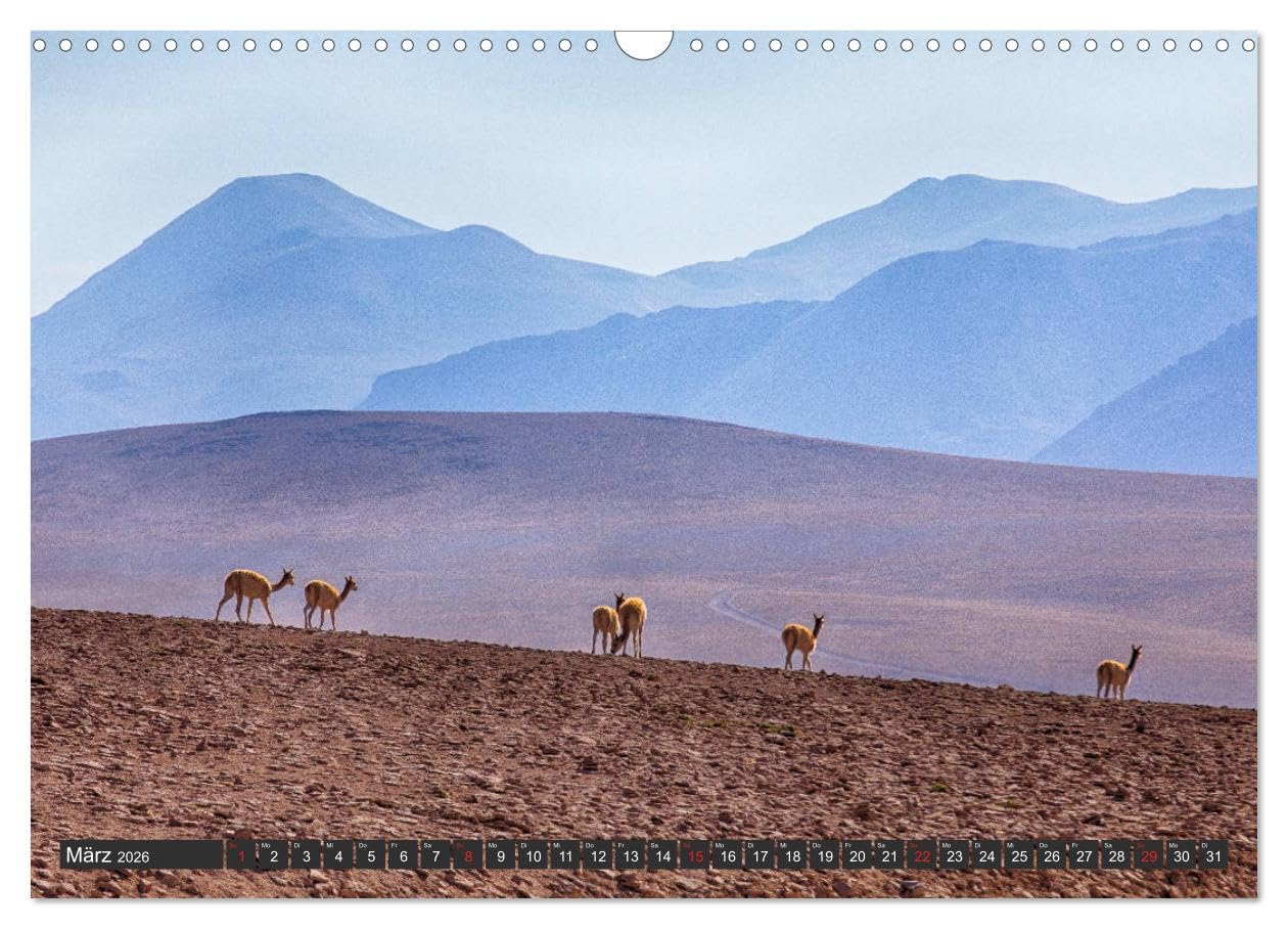 Traumwelt Chile (Wandkalender 2026 DIN A3 quer), CALVENDO Monatskalender (CALVENDO Natur)