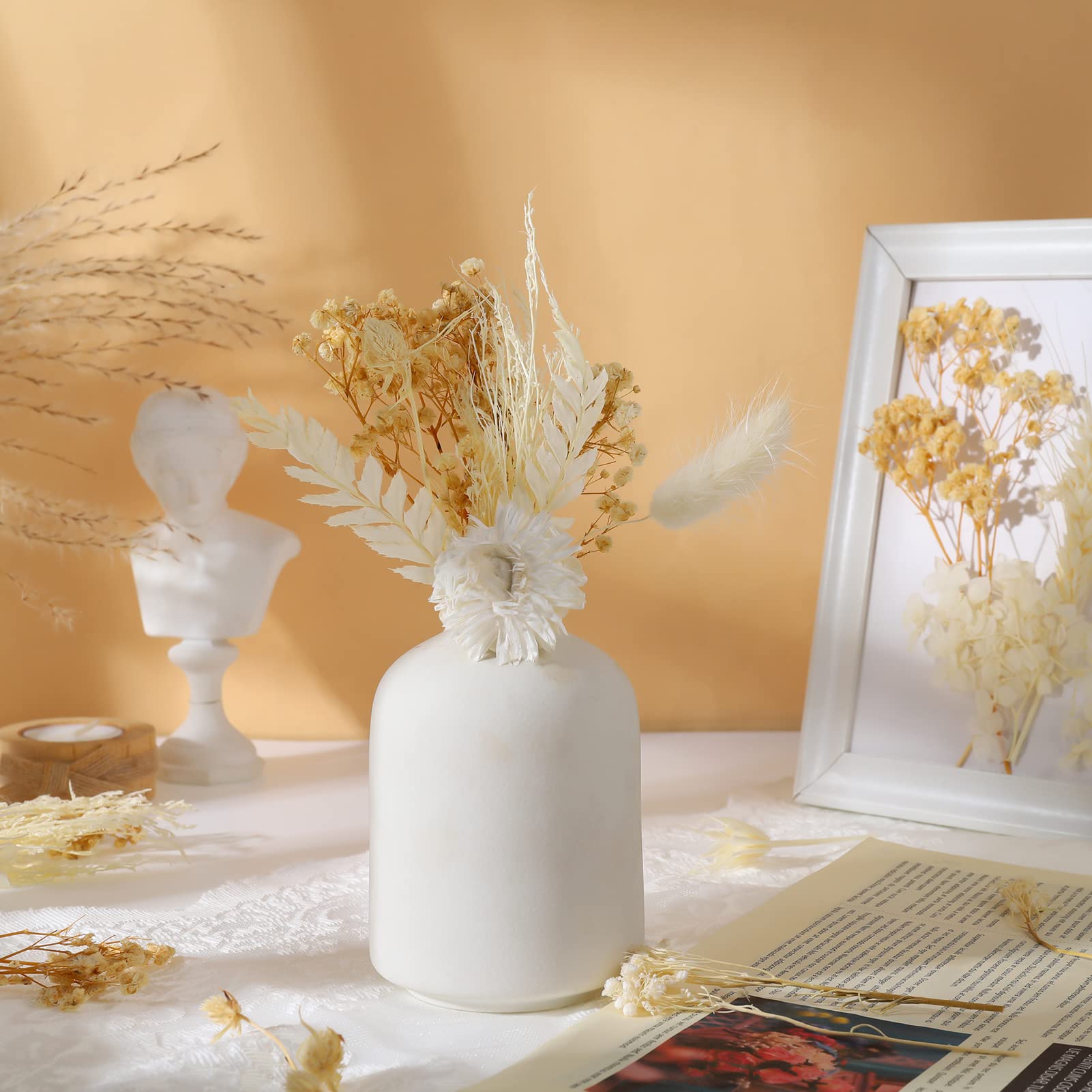 ALTcompluser Trockenblumen Set für Kunst DIY, Harz, Scrapbooking, Handwerk und Karten Machen - Klein, Weiß