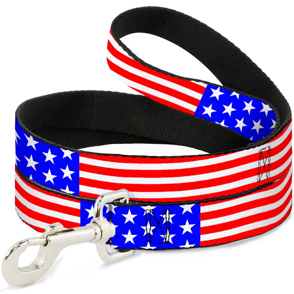 Laisse Buckle Down DL-6FT-W30174-W pour chien résistant et design