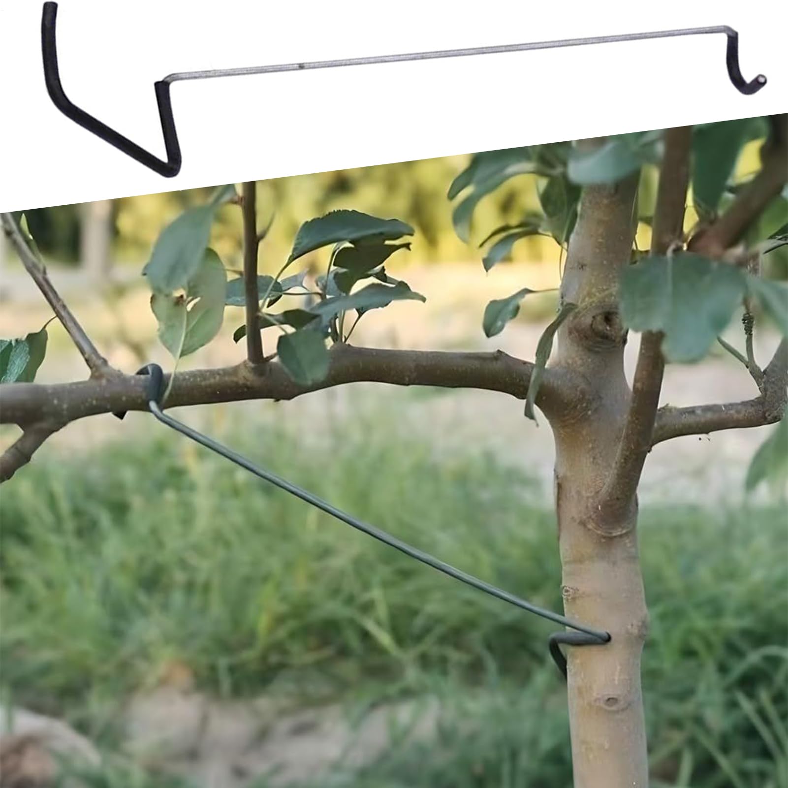 13 pezzi, estrattore per cuscinetti con inserto piccolo, separatore per cuscinetti, strumento