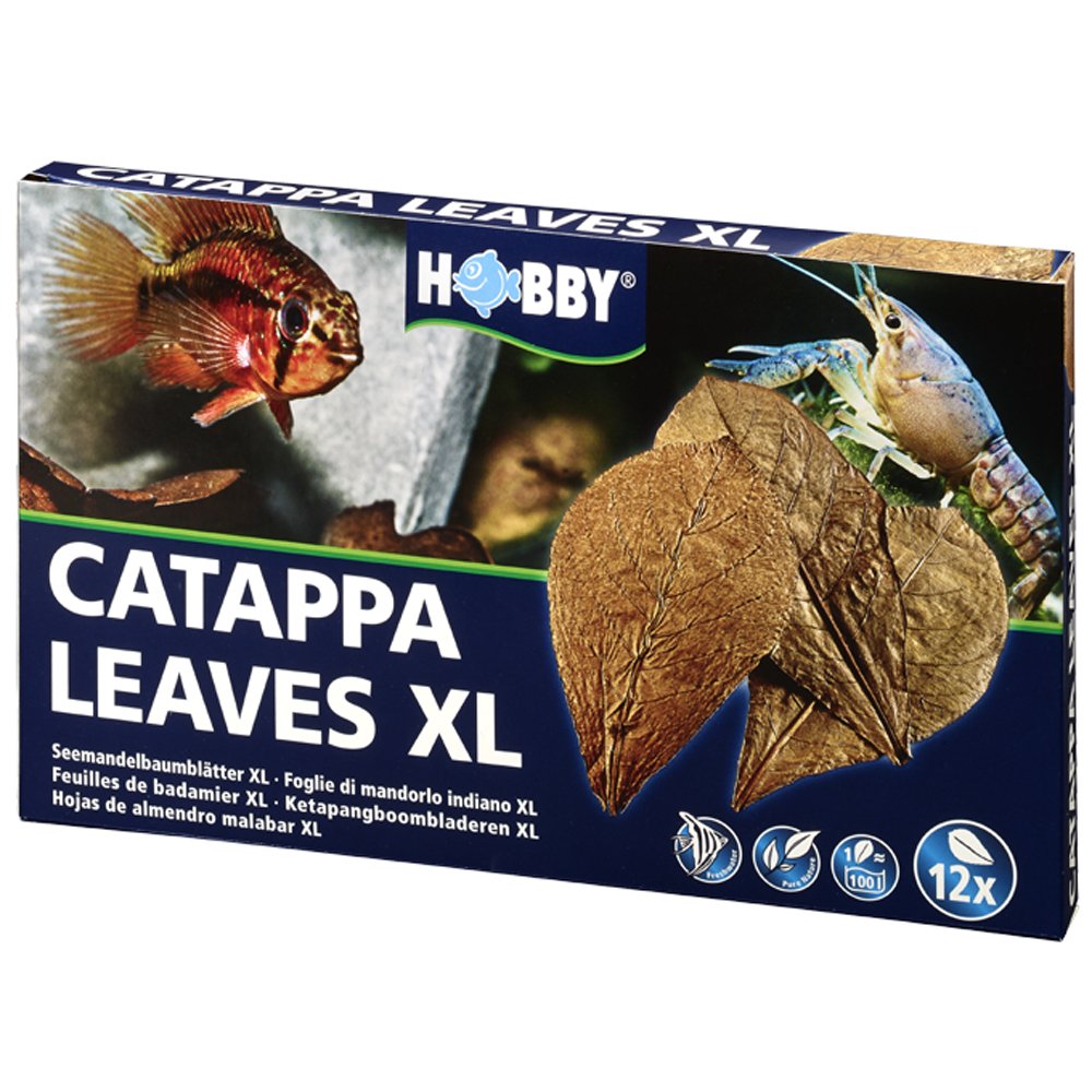 Hobby Catappa Leaves 51105 Lot de 12 Feuilles XL