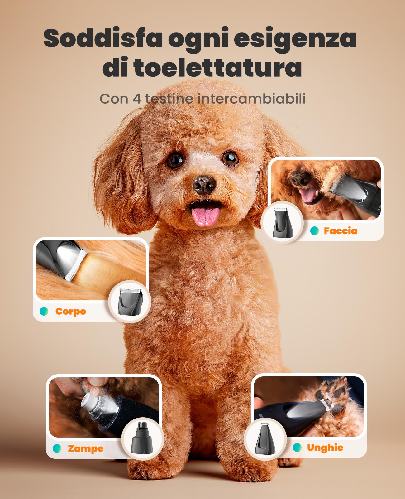 oneisall 4 in 1 Tosatrice per Cane Gatto con Luce LED, 2025 Nuova Versione Cura Peli Animali per Rasoio Cani & Zampe & Smerigliatrice Artiglio, 2000mAh Ricaricabile Rasoio per Cani (Blau, 4-in-1)