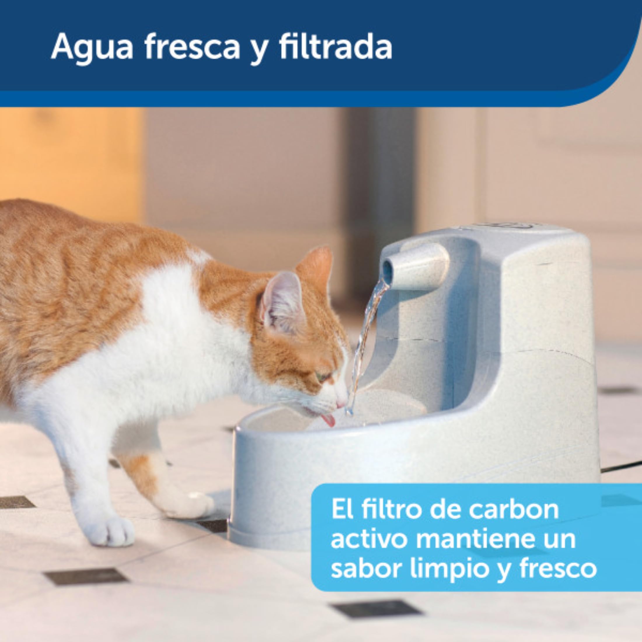 PetSafe Drinkwell mini fontanna do picia, podwójny system filtrowania, odpowiednia dla małych psów i kotów, pojemność 1,2 l