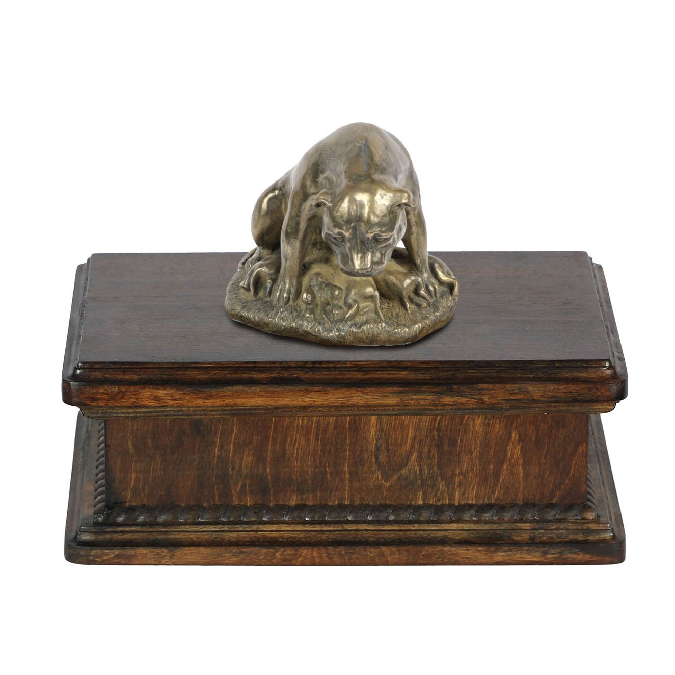 Urne pour les cendres de chien Staffordshire boîte funéraire bouleau