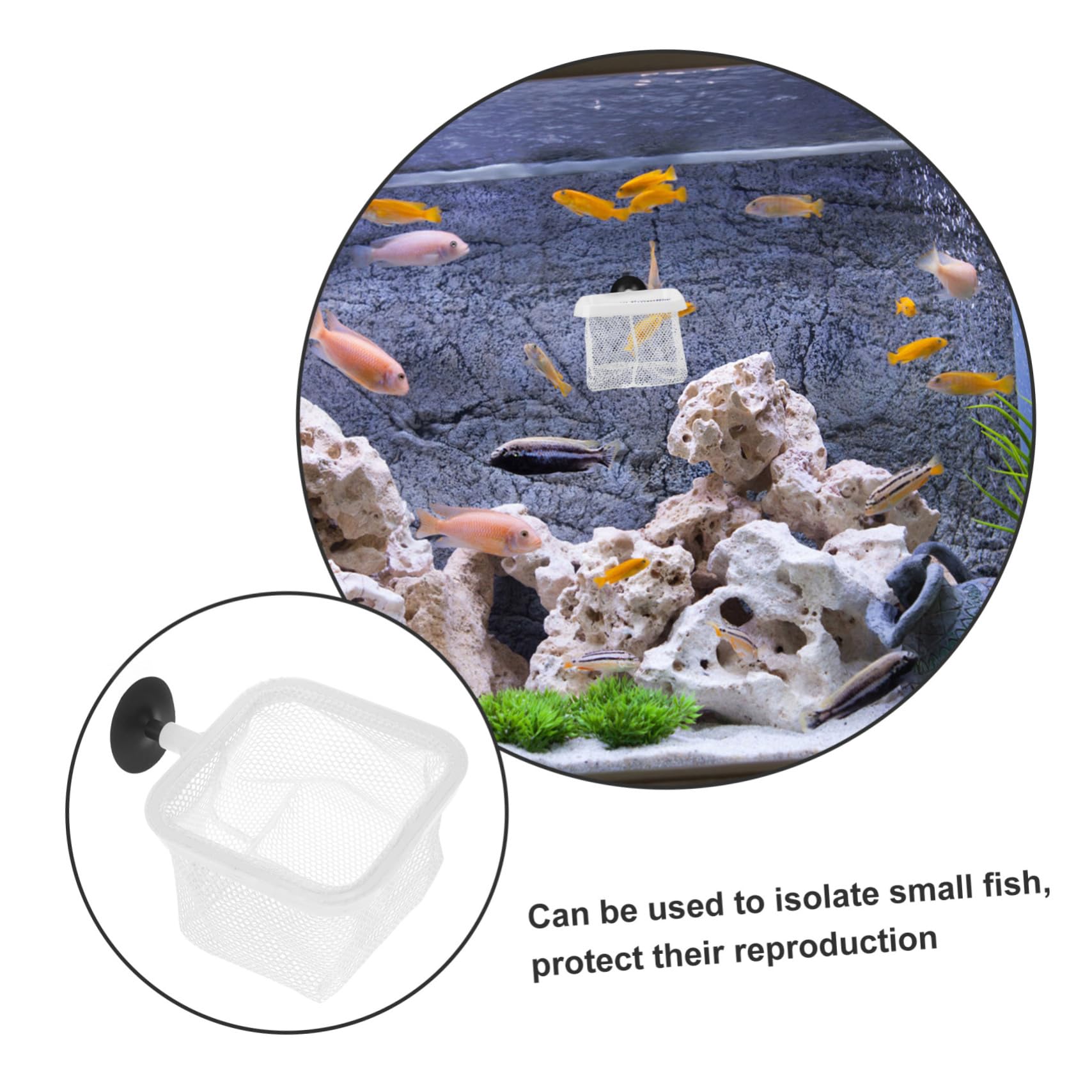 BESPORTBLE 3 Juegos De Soportes para Incubación De Peces Red para Tanque De Cría con Vasos para Incubadora De Peces (5 Unidades X 3)