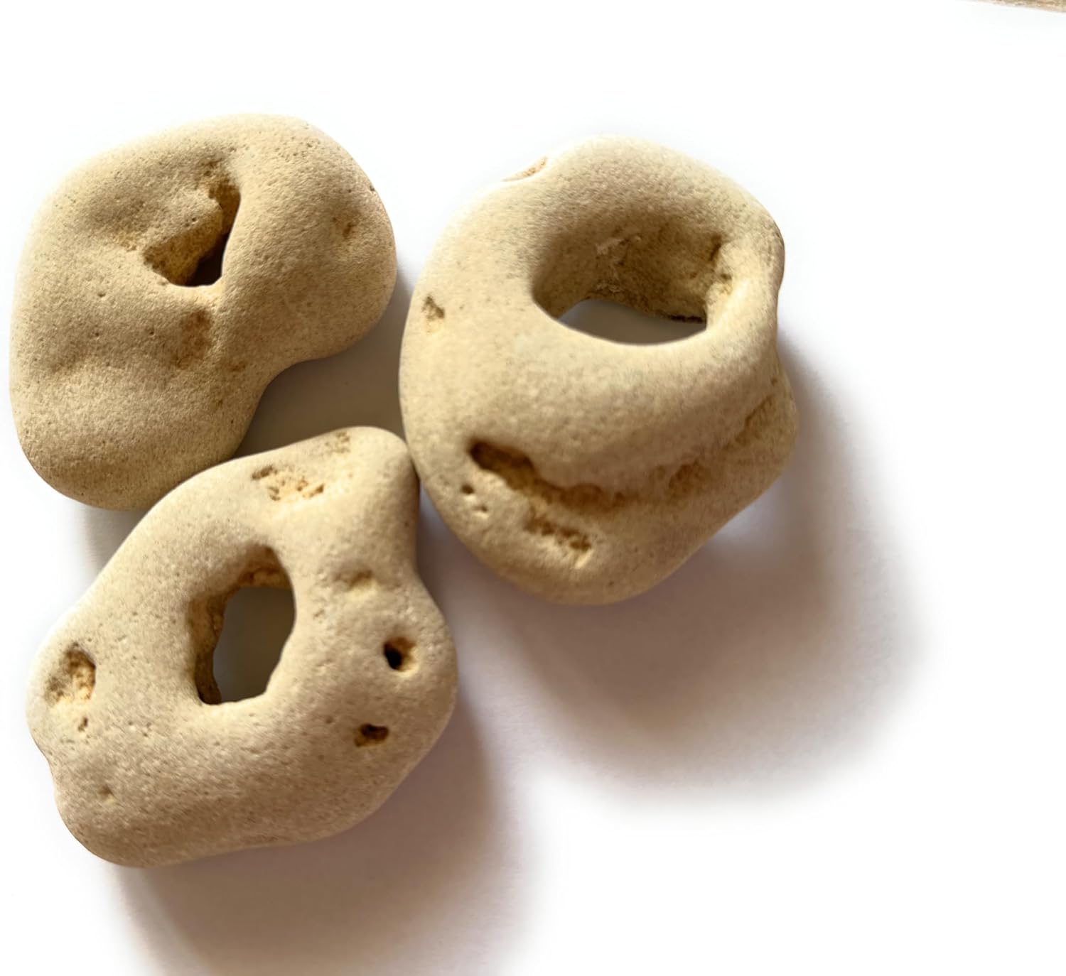 Tube Hag Stones Collection: 3 Natural Raw Sea Stones with Protective Powers -Natural Gifts - Ideal for Witchcraft, Decoration, and Crafts - Various Rare Sizes and Shapes, 3-5 inch Tubes