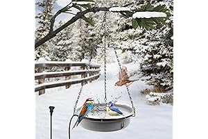 Heated Bird Bath for Outdoors for Winter: Keep Your Feathered Friends Warm This Season!