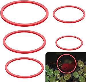 5pcs Aquarium Floating Plant Rings, Round Fish Feeding Rings Foam Fish ...