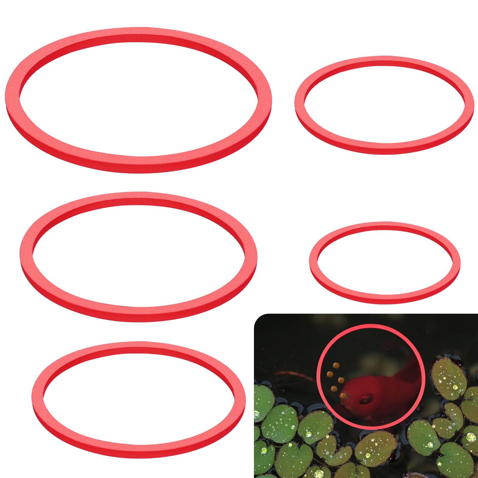 PEUTIER 5pcs Aquarium Floating Plant Rings, Round Fish Feeding Rings Foam Fish Tank Plant Corral for Bettas, Goldfish Aquarium Accessories Duckweed Isolation Circle Keep Plants in Place (Red)
