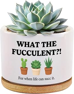 What the Fucculent Succulent Lover Gardener Plant Lover Gifts Ceramic Succulent Plant Pot with Bamboo Tray Round Home Office Decor 3.5 Inch White (No Plants)