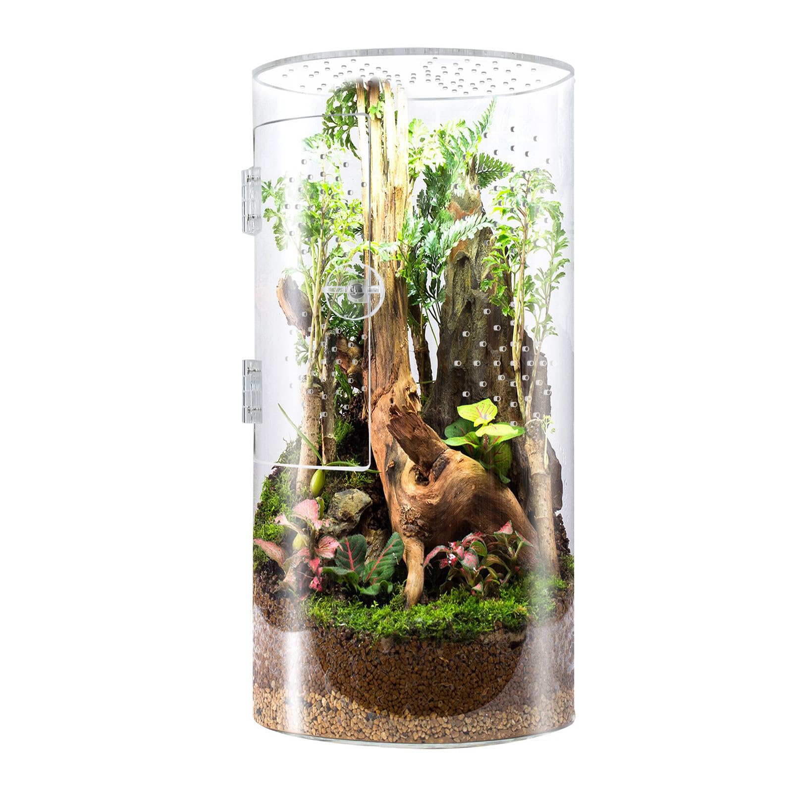 Otwierana z Przodu Obudowa dla Pająków Skakających, Terrarium Akrylowe dla Ptaszników z widocznością 360° i Bezpiecznym Zatrzaskiem 6x6x12 Cali, Duże Terrarium Akrylowe Akcesoria
