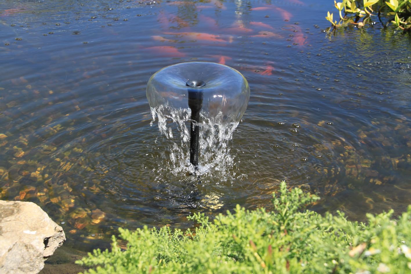 esotec Pompe de bassin WaterSplash 470 avec kit d'arrosage - Pompe de fontaine 12 V/CC pour étang de jardin et jeu d'eau - Pompe de rechange IP68 101050