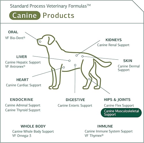 Miniatura 5 de Proceso estándar - Soporte musculoesquelético canino - 4.2 oz