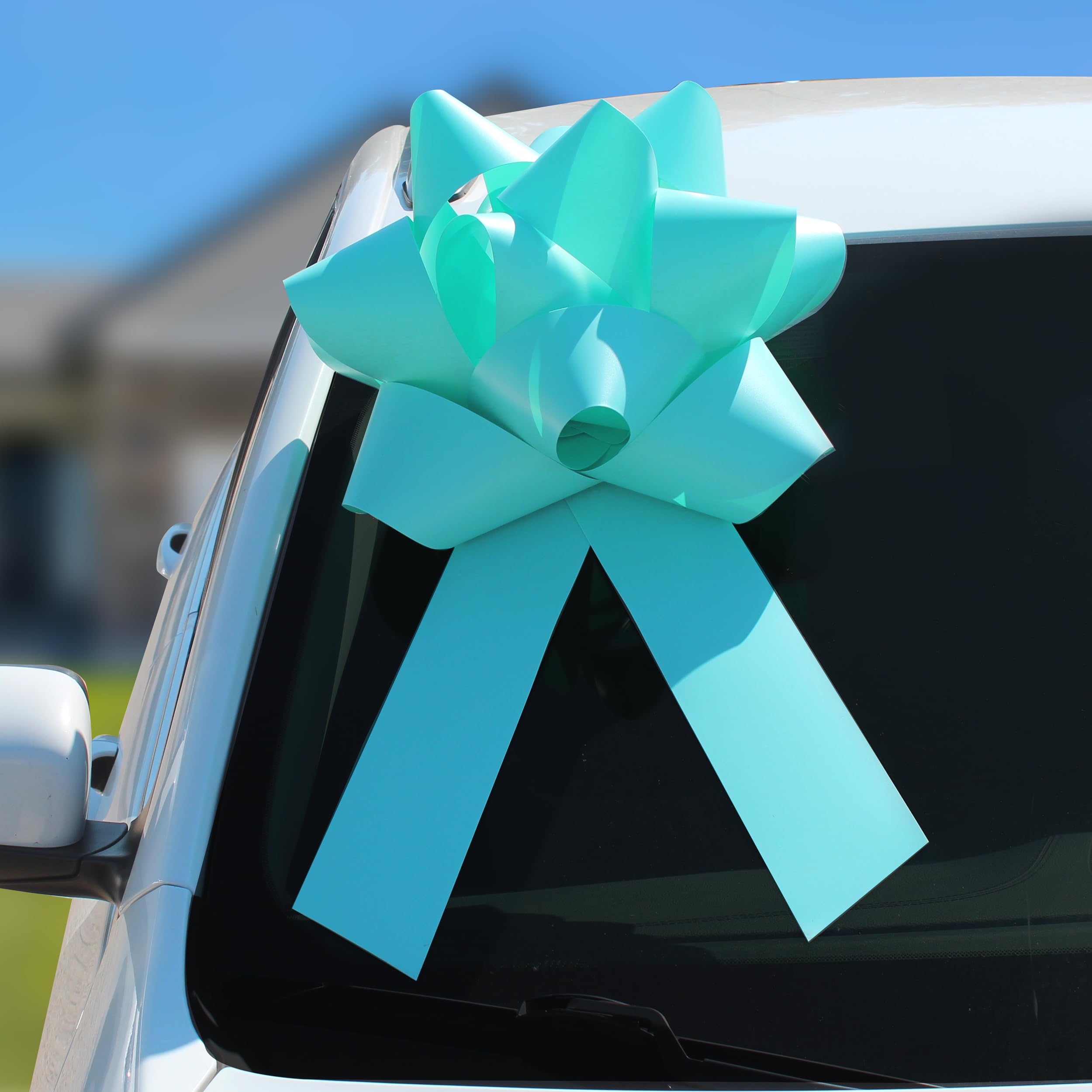 Large 3D Universal Celebration Bow - 18