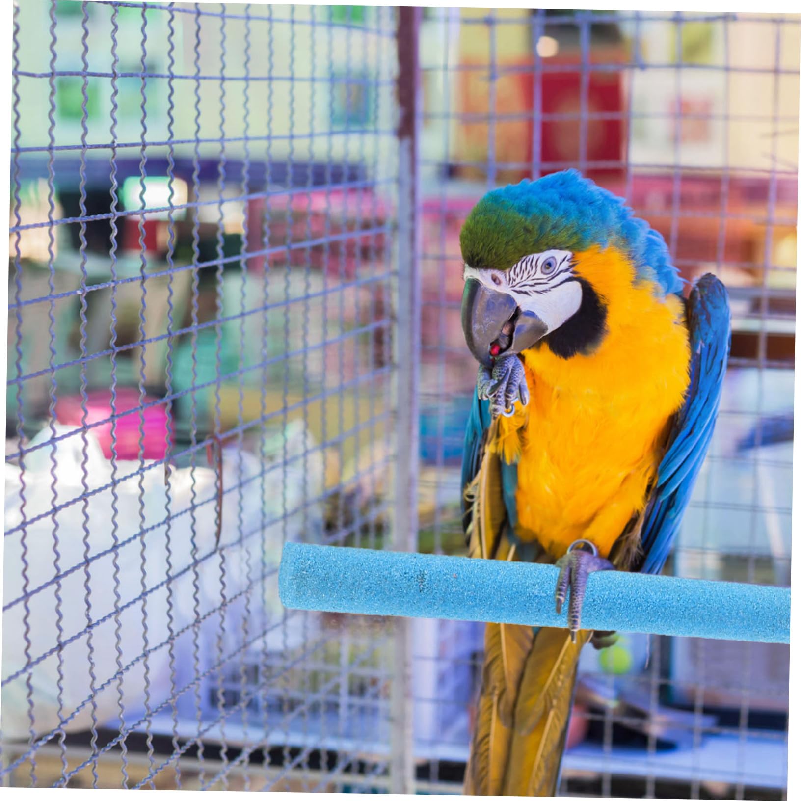 Toddmomy 10pièces Perchoirs pour Cage à Oiseaux pour Perroquets Perruches Calopsittes Conures Et Perruches Ondulées avec Plateforme pour Gratter Les Pattes Et Bâtonnets pour Naturelle des g