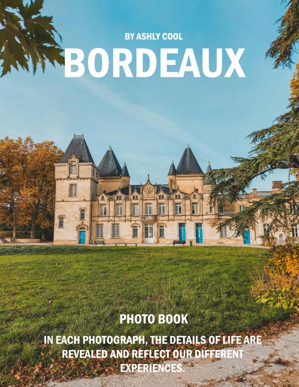 Bordeaux: 39 Cool Pictures That Create An Idea For You About Bordeaux- Perfect Gift for tourism & travel lovers.....Relaxing & Meditation.