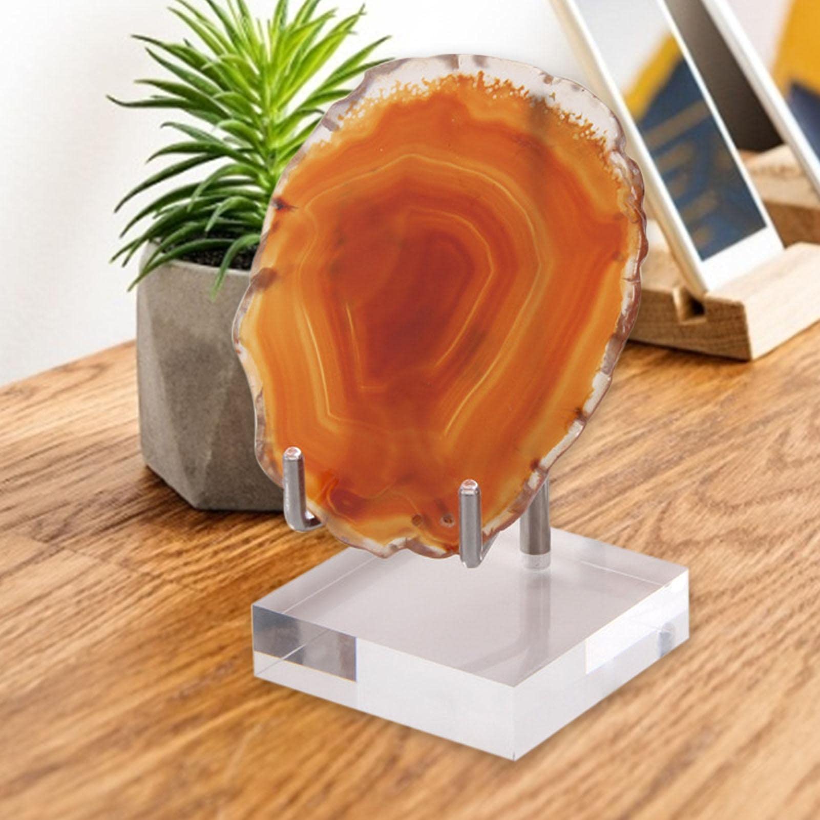 石の置物 Amazon｜Ciieeo 岩石や鉱物のコレクション収納用アクリル製展示